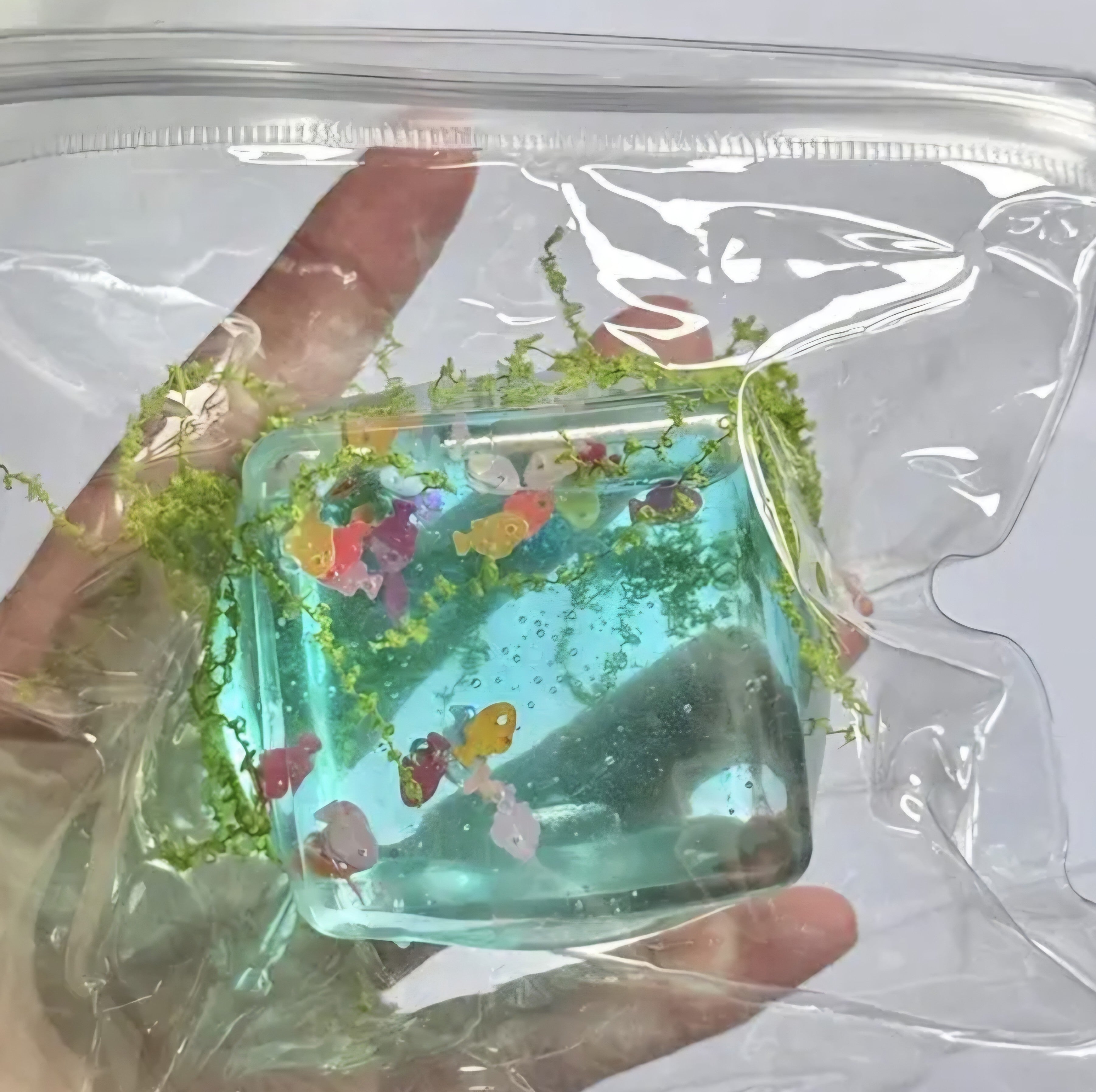 Squeezy, Eco-Friendly, Squishy, For Stress Relief, Ocean Fish Cube